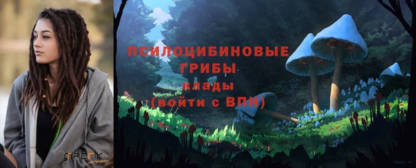 a pvp Алексин